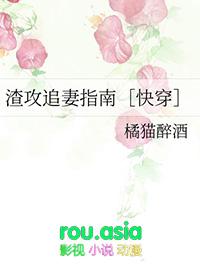 渣攻追妻指南快穿