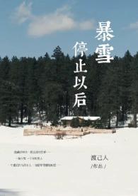 暴雪停止工作