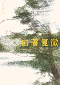 由著复微by乱佳音 简介
