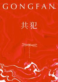 共犯双子完整版