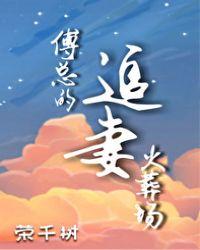 傅总的追妻火葬场水小月