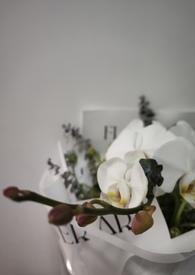 我的未婚妻在哪里