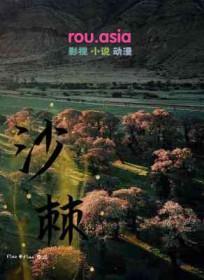 沙棘干乳剂的功效与作用