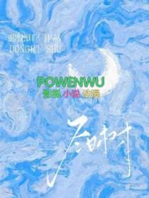 冬日树下的回忆讲了什么