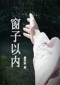窗子以外2017