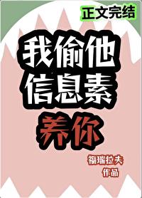 信息素偷盗指南免费阅读