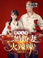 重生七十年代之二婚军嫂