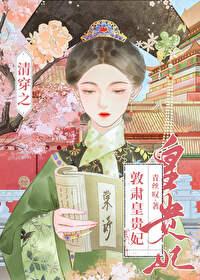 清穿之哲皇贵妃全文免费阅读