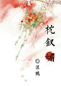 枕钗摇全本