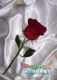 和联姻对象做p全文免费阅读