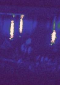 热狗与黑胶-绿胡子果一