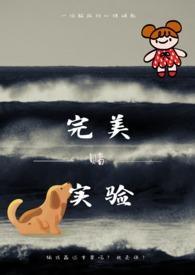 完美仪器