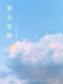 查无实据怎么写