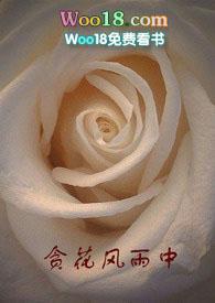 贪花风雨中在线阅读全文