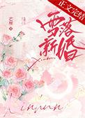 雪落红炉全文免费阅读