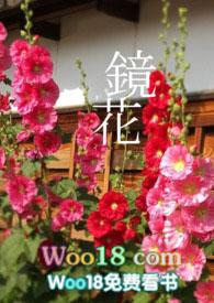镜花同人文