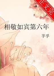 相敬如宾第六年 作者芋孚