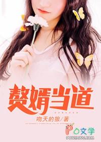 赘婿当道全章节