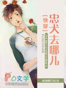 忠犬都在这儿了