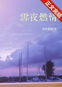 雪夜情人番外