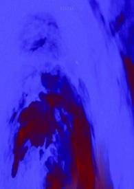 不起眼的丝瓜火了!医生坦言它的好处