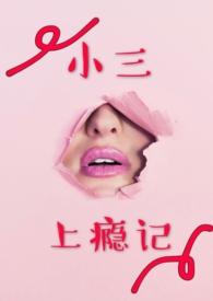 小三上瘾记 百度