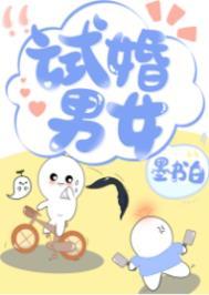 试婚什么是什么意思