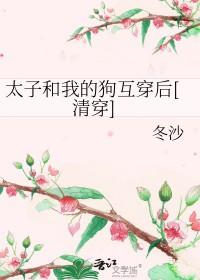 红楼清穿太子宠妻日常书包