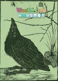空壳公司注销流程