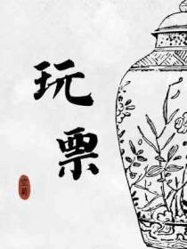 玩票by空讲的是什么