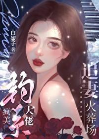 疯美钓系大佬追妻火葬场在线阅读