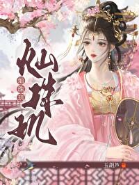 灿珠玑完整版无错