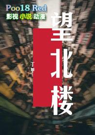 望北楼四季酒店