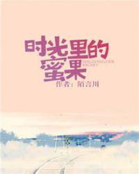 时光里的蜜果是什么