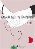 穿成知青回城女配txt