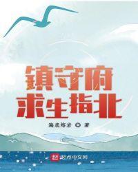 镇守府生存指南