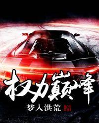 权力巅峰从基层公务员开始王鸿涛免费阅读全文