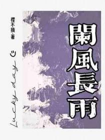 风雨阑珊的意思