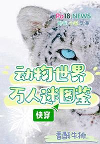 动物世界人主宰