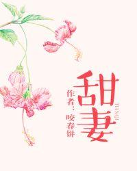 甜妻燃气灶怎么样