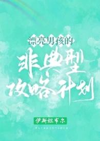 漂亮男孩的非典型攻略计划(NPH)gb最新