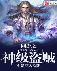 网游之神偷盗贼