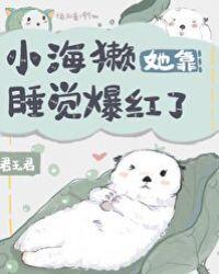 小海獭她靠睡觉爆红了62