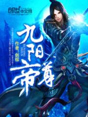 九阳帝尊陆玄