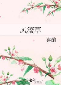 风滚草简介