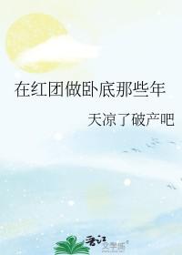 穿越海贼王加入红发海贼团