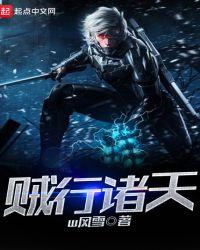 贼行天下免费阅读