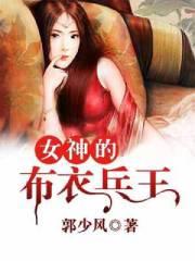 女神的布衣兵王免费阅读全文