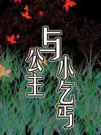 韩剧公主和乞丐