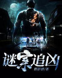谜案追凶免费阅读
